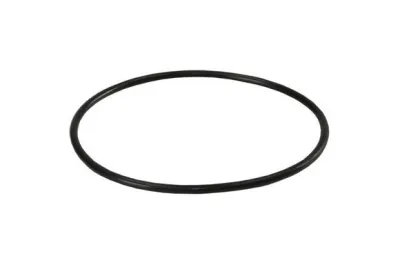 Кольцо уплотнительное (ORING-BB) для BB корпусов FILTER HOUSING и Naturewater