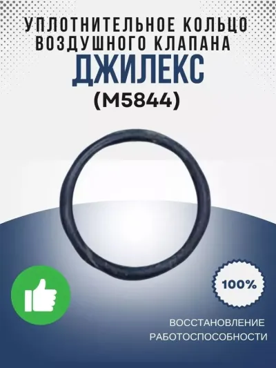 Уплотнительное кольцо воздушного клапана Фекальника Н