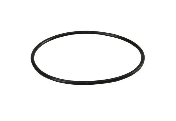 Кольцо уплотнительное (ORING-BB) для BB корпусов FILTER HOUSING и Naturewater