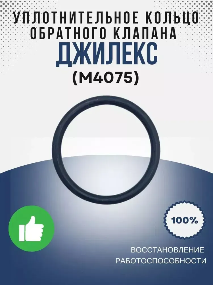 Уплотнительное кольцо обратного клапана насоса 3D